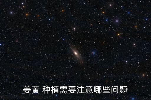 種植黃姜最怕什么農藥