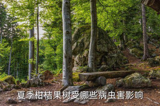 柑橘用什么農藥防治果蠅,防治果蠅最好的農藥