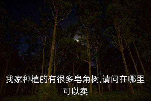 巨型皂角樹用什么農藥