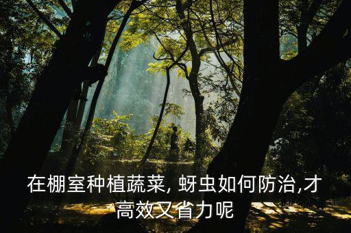 ,菜苗打什么農藥防蚜蟲害