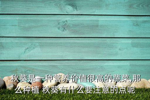 秋葵噴什么農藥好用呢,秋葵打什么農藥