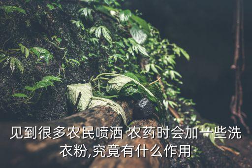 見到很多農民噴灑 農藥時會加一些洗衣粉,究竟有什么作用