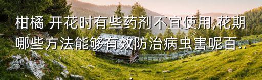 柑橘 開花時有些藥劑不宜使用,花期哪些方法能夠有效防治病蟲害呢百...