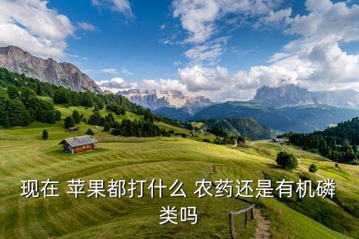 蘋果要打些什么農藥,蘋果什么模式可以打不進電話