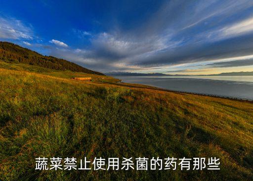 蔬菜低毒農藥有什么,防治蔬菜蚜蟲低毒農藥