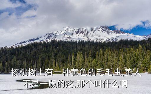 核桃洋辣子用什么農(nóng)藥,核桃打什么農(nóng)藥