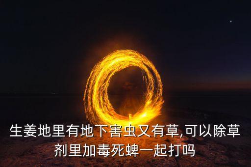 生姜地里有地下害蟲又有草,可以除草劑里加毒死蜱一起打嗎