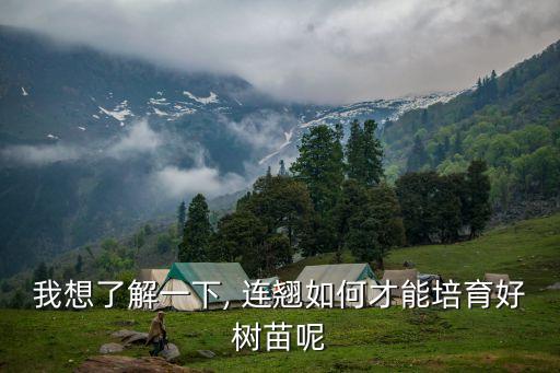 我想了解一下, 連翹如何才能培育好樹苗呢