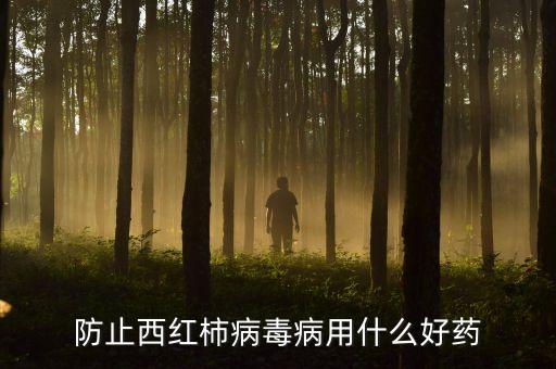 普通番茄用什么農藥殺菌,番茄打什么農藥