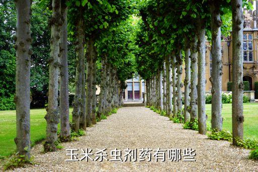 現在玉米噴什么農藥,玉米治蟲用什么農藥好