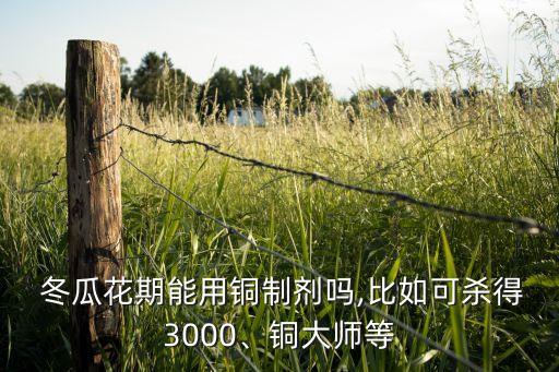  冬瓜花期能用銅制劑嗎,比如可殺得3000、銅大師等
