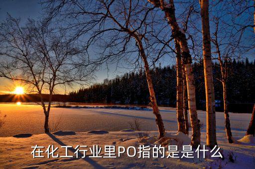 在化工行業里PO指的是是什么