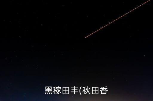 黑稼田豐(秋田香