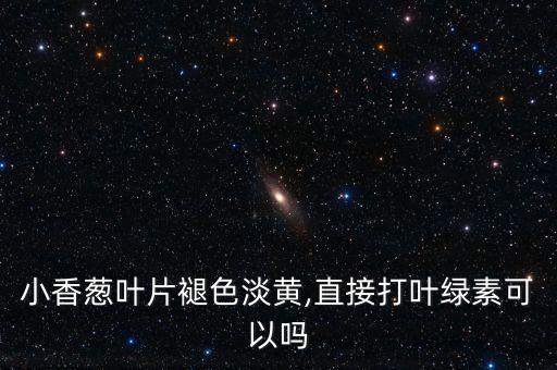 小香蔥葉片褪色淡黃,直接打葉綠素可以嗎