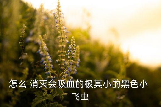 用什么農(nóng)藥消滅飛蟲(chóng)病毒,殺小飛蟲(chóng)用什么農(nóng)藥
