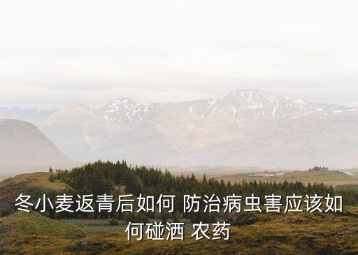 冬小麥返青后如何 防治病蟲害應該如何碰灑 農藥