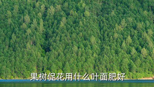  果樹促花用什么葉面肥好