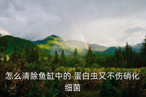 使用蛋白蟲怕什么農(nóng)藥,魚缸蛋白蟲怕什么