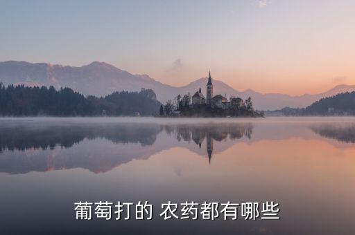 葡萄打的 農(nóng)藥都有哪些