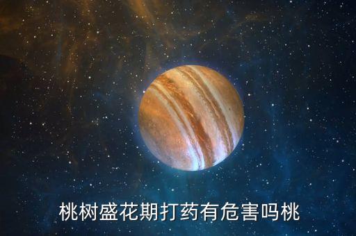 桃樹盛花期打藥有危害嗎桃