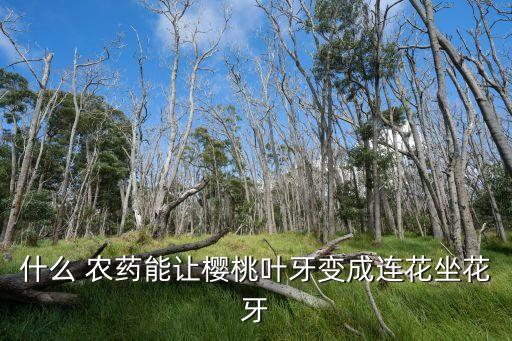 什么 農(nóng)藥能讓櫻桃葉牙變成連花坐花牙
