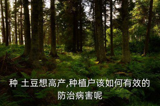 種 土豆想高產,種植戶該如何有效的防治病害呢