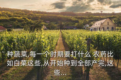 種蔬菜,每一個時期要打什么 農藥比如白菜這些,從開始種到全部產完,這些...