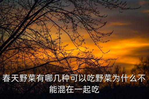 春天野菜有哪幾種可以吃野菜為什么不能混在一起吃