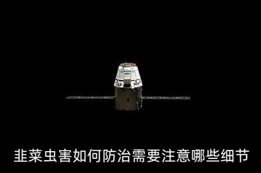 韭菜不能打什么農藥,韭菜用什么洗去農藥