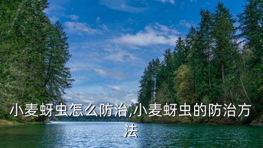 小麥蚜蟲怎么防治,小麥蚜蟲的防治方法