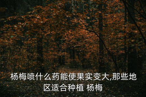  楊梅噴什么藥能使果實變大,那些地區適合種植 楊梅