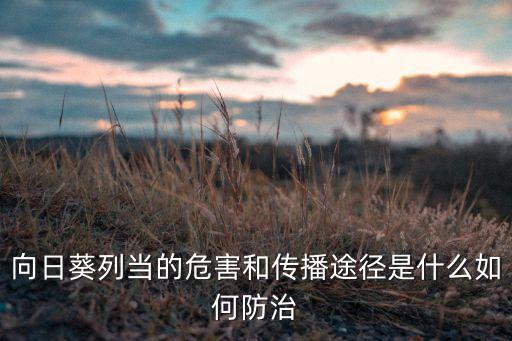 向日葵列當(dāng)?shù)奈:蛡鞑ネ緩绞鞘裁慈绾畏乐? class=