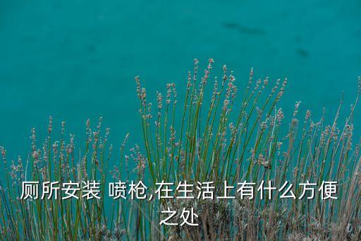 廁所安裝 噴槍,在生活上有什么方便之處