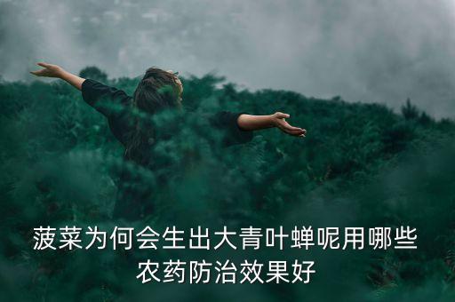 種菠菜需要什么農(nóng)藥,菠菜對(duì)什么農(nóng)藥過敏