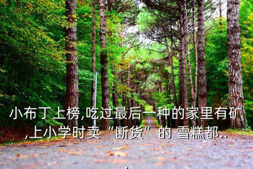 小布丁上榜,吃過(guò)最后一種的家里有礦,上小學(xué)時(shí)賣“斷貨”的 雪糕都...