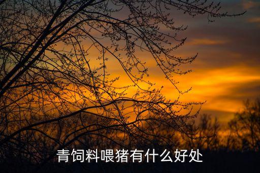 什么農藥治豬牙草,豬牙草有什么副作用