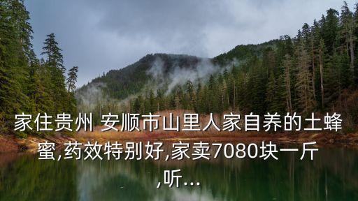 家住貴州 安順市山里人家自養的土蜂蜜,藥效特別好,家賣7080塊一斤,聽...
