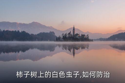 柿子有蟲用什么農藥,治療柿子樹上的白蟲的農藥