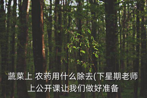蔬菜上 農(nóng)藥用什么除去(下星期老師上公開課讓我們做好準備