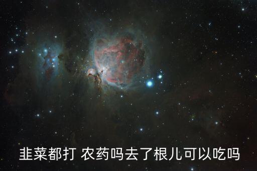  韭菜都打 農藥嗎去了根兒可以吃嗎