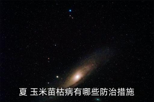 夏 玉米苗枯病有哪些防治措施