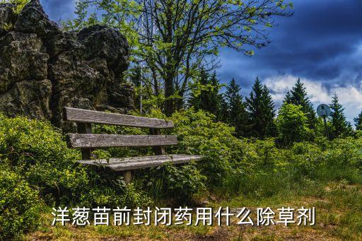 洋蔥苗前封閉藥用什么除草劑