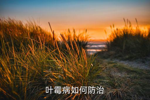 葉霉用什么農藥,辣椒卷葉打什么農藥