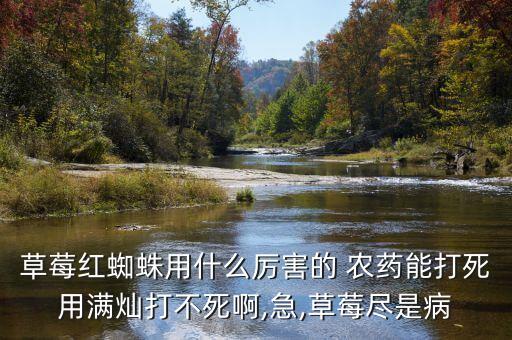 草莓紅蜘蛛用什么厲害的 農藥能打死用滿燦打不死啊,急,草莓盡是病