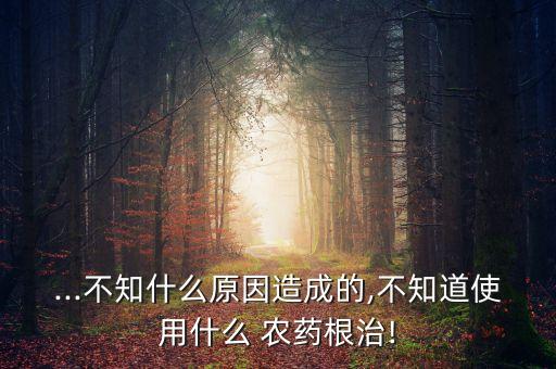 ...不知什么原因造成的,不知道使用什么 農藥根治!