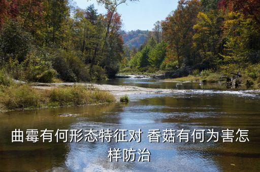 香菇菌絲怕什么農藥,香菇最怕什么農藥