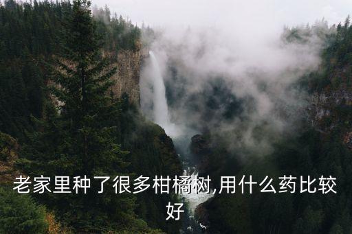 老家里種了很多柑橘樹,用什么藥比較好