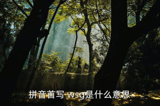 拼音首寫 wsg是什么意思