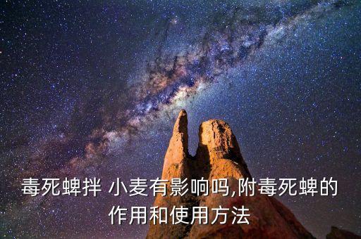 什么農藥能拌小麥種子,小麥倒春寒用什么農藥