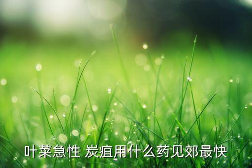 葉菜急性 炭疽用什么藥見郊最快